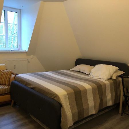 Logement Entier Proche Gare Et Centre Ville Apartman Mulhouse Kültér fotó
